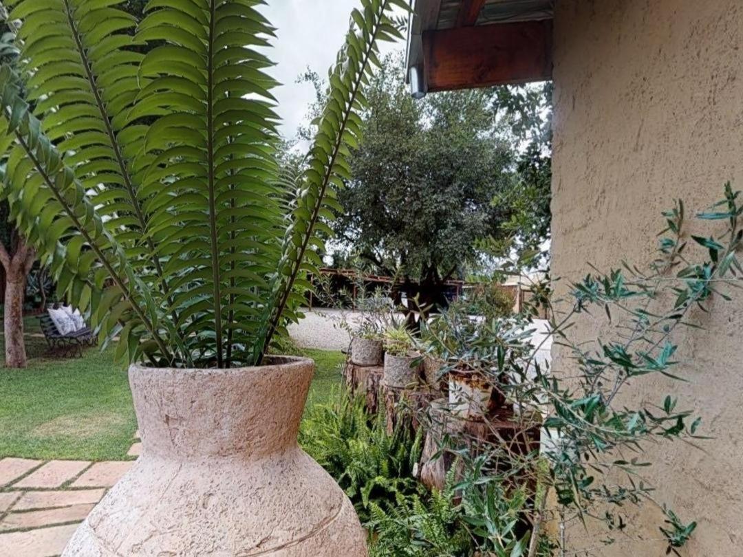 Cradle Valley Boutique Guesthouse Muldersdrift Kültér fotó