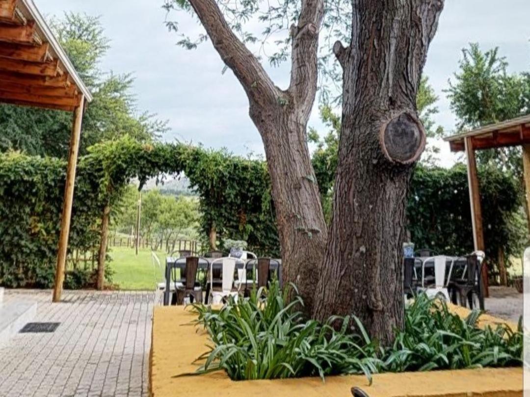 Cradle Valley Boutique Guesthouse Muldersdrift Kültér fotó