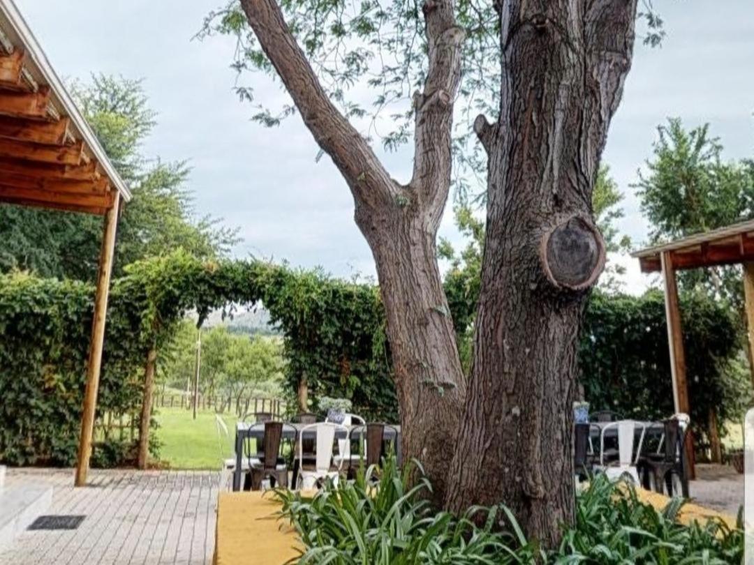 Cradle Valley Boutique Guesthouse Muldersdrift Kültér fotó